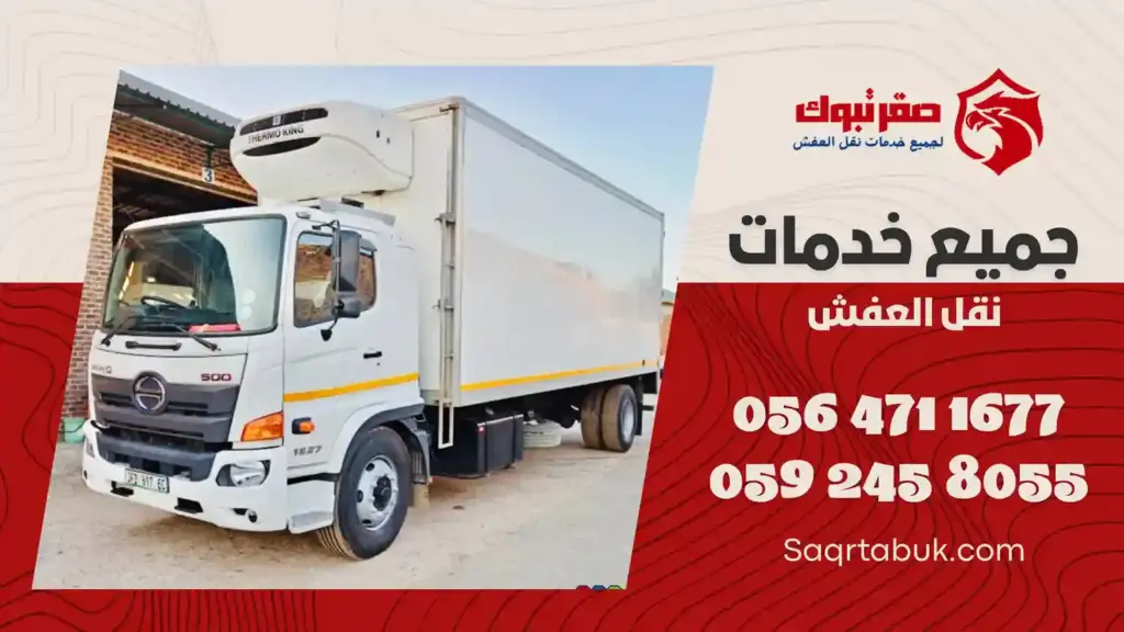 دينا تبريد وتجميد وجاف مشاوير بتبوك
