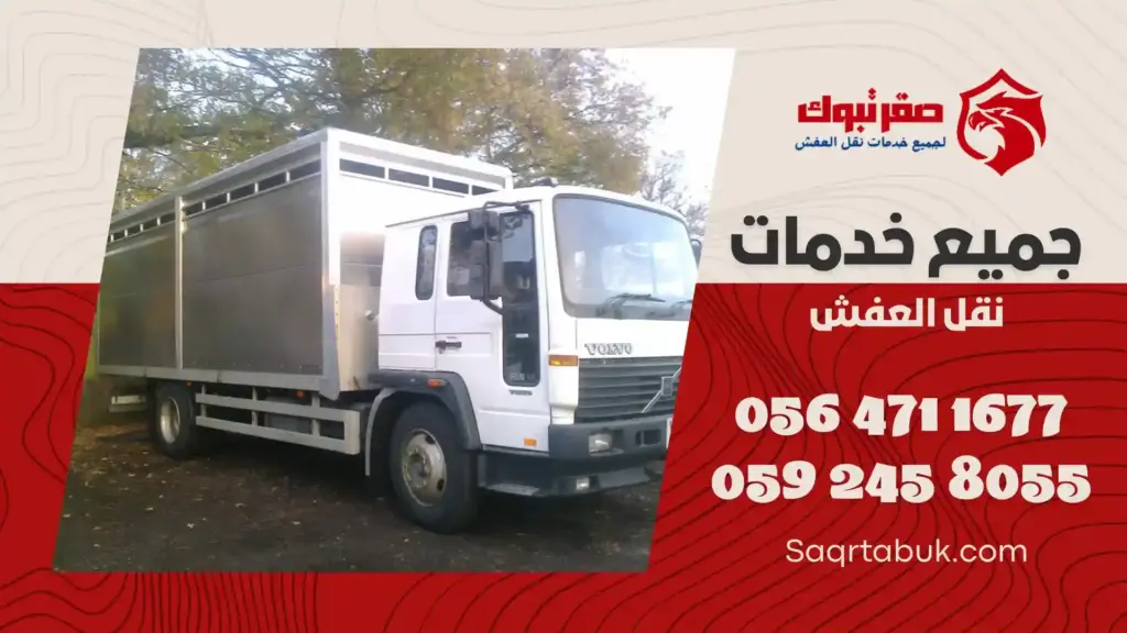 دينا نقل عفش بتيماء